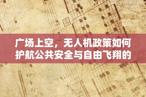广场上空，无人机政策如何护航公共安全与自由飞翔的平衡？
