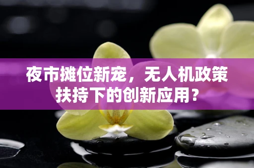 夜市摊位新宠，无人机政策扶持下的创新应用？