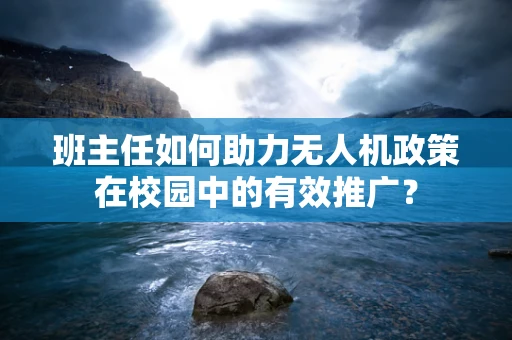 班主任如何助力无人机政策在校园中的有效推广？