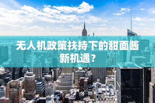 无人机政策扶持下的甜面酱新机遇？
