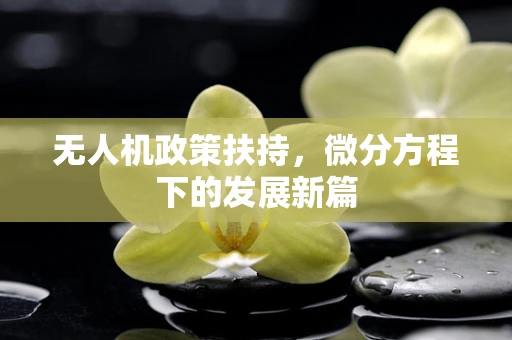 无人机政策扶持，微分方程下的发展新篇