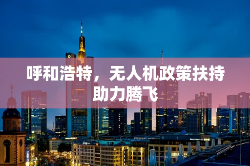 呼和浩特，无人机政策扶持助力腾飞