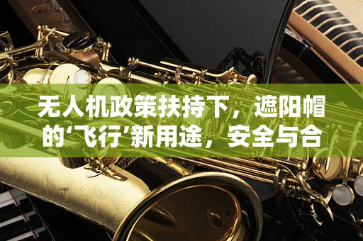 无人机政策扶持下，遮阳帽的‘飞行’新用途，安全与合规的微妙平衡？