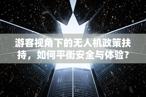 游客视角下的无人机政策扶持，如何平衡安全与体验？