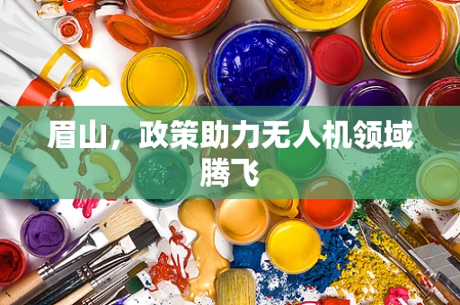 眉山，政策助力无人机领域腾飞