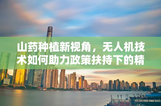 山药种植新视角，无人机技术如何助力政策扶持下的精准农业？