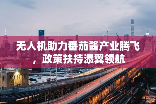 无人机助力番茄酱产业腾飞，政策扶持添翼领航