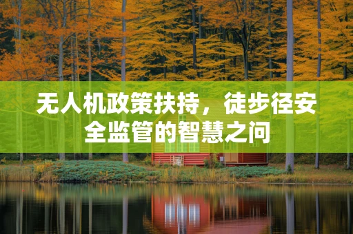 无人机政策扶持，徒步径安全监管的智慧之问