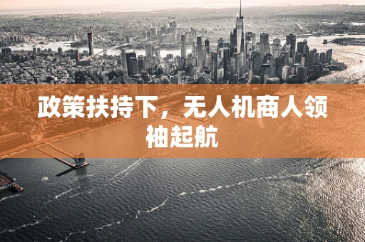 政策扶持下，无人机商人领袖起航