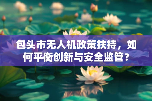 包头市无人机政策扶持，如何平衡创新与安全监管？