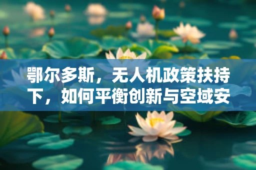 鄂尔多斯，无人机政策扶持下，如何平衡创新与空域安全？