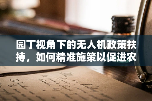 园丁视角下的无人机政策扶持，如何精准施策以促进农业智能化？