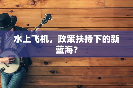 水上飞机，政策扶持下的新蓝海？