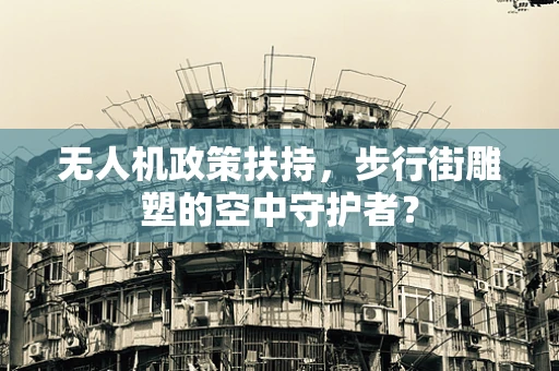 无人机政策扶持，步行街雕塑的空中守护者？