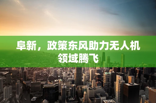 阜新，政策东风助力无人机领域腾飞