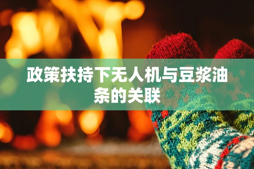 政策扶持下无人机与豆浆油条的关联