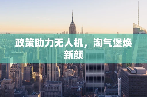 政策助力无人机，淘气堡焕新颜
