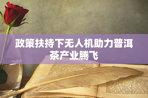 政策扶持下无人机助力普洱茶产业腾飞