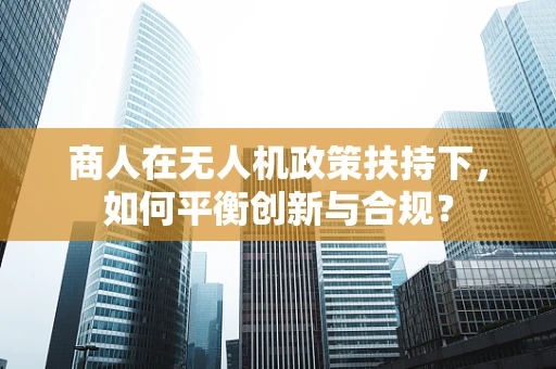 商人在无人机政策扶持下，如何平衡创新与合规？