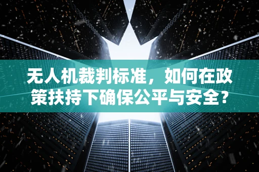 无人机裁判标准，如何在政策扶持下确保公平与安全？