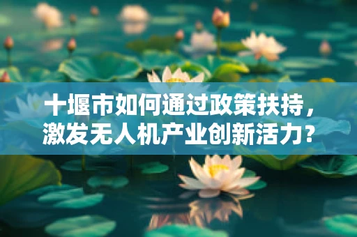 十堰市如何通过政策扶持，激发无人机产业创新活力？
