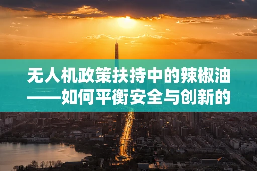 无人机政策扶持中的辣椒油——如何平衡安全与创新的边界？