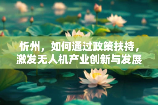 忻州，如何通过政策扶持，激发无人机产业创新与发展的新动力？