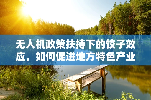 无人机政策扶持下的饺子效应，如何促进地方特色产业与无人机技术的融合发展？