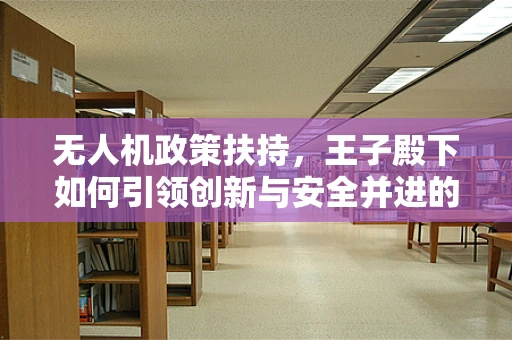 无人机政策扶持，王子殿下如何引领创新与安全并进的未来？