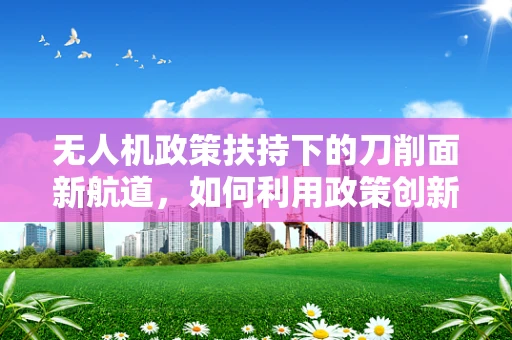 无人机政策扶持下的刀削面新航道，如何利用政策创新实现空中送餐？