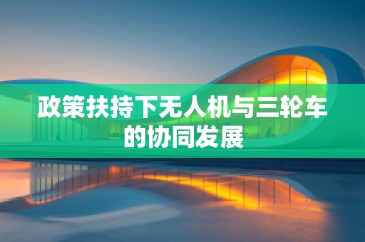 政策扶持下无人机与三轮车的协同发展