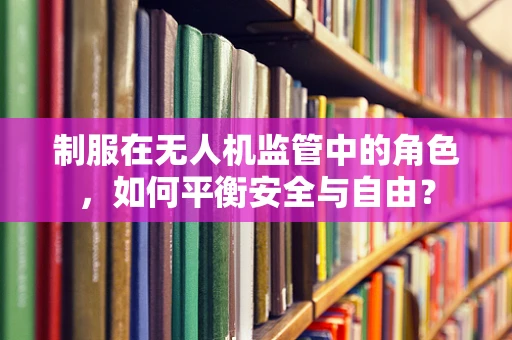 制服在无人机监管中的角色，如何平衡安全与自由？