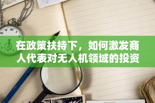 在政策扶持下，如何激发商人代表对无人机领域的投资热情？