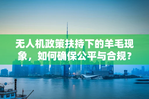 无人机政策扶持下的羊毛现象，如何确保公平与合规？