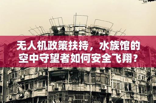 无人机政策扶持，水族馆的空中守望者如何安全飞翔？