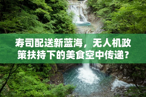 寿司配送新蓝海，无人机政策扶持下的美食空中传递？