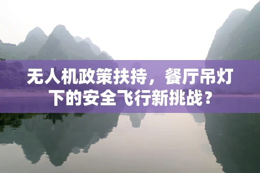 无人机政策扶持，餐厅吊灯下的安全飞行新挑战？
