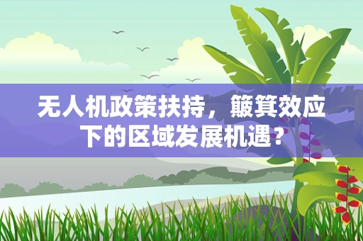 无人机政策扶持，簸箕效应下的区域发展机遇？