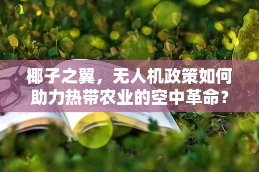 椰子之翼，无人机政策如何助力热带农业的空中革命？