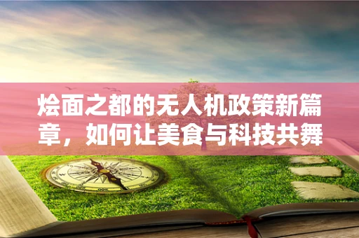 烩面之都的无人机政策新篇章，如何让美食与科技共舞？