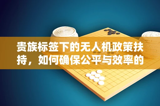 贵族标签下的无人机政策扶持，如何确保公平与效率的平衡？