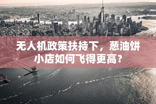 无人机政策扶持下，葱油饼小店如何飞得更高？