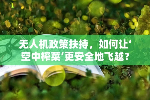无人机政策扶持，如何让‘空中榨菜’更安全地飞越？