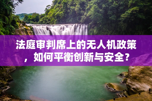 法庭审判席上的无人机政策，如何平衡创新与安全？