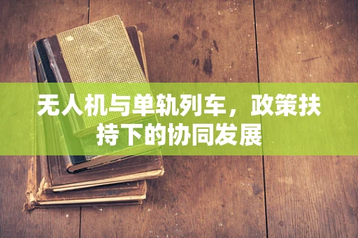 无人机与单轨列车，政策扶持下的协同发展