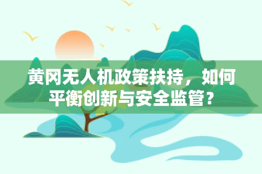 黄冈无人机政策扶持，如何平衡创新与安全监管？