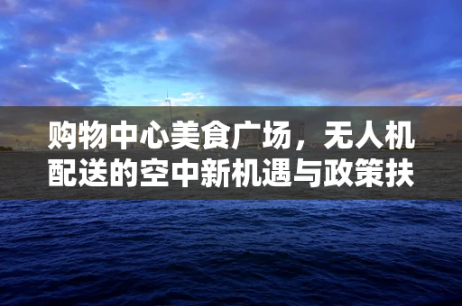 购物中心美食广场，无人机配送的空中新机遇与政策扶持之问？
