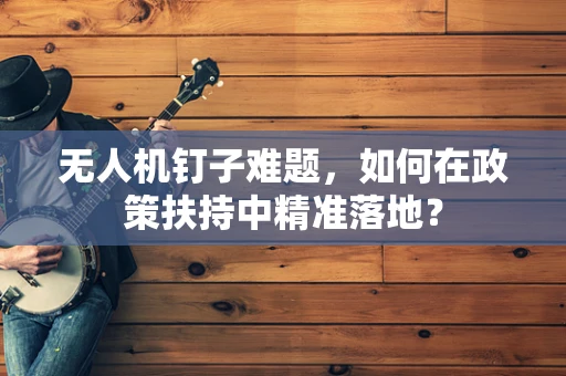 无人机钉子难题，如何在政策扶持中精准落地？