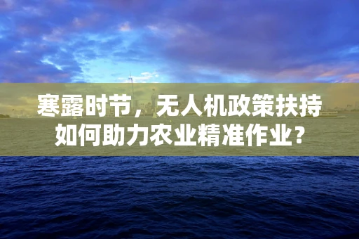 寒露时节，无人机政策扶持如何助力农业精准作业？