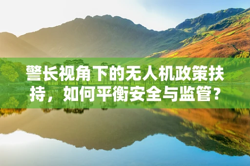 警长视角下的无人机政策扶持，如何平衡安全与监管？
